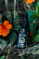 Chaga (Inonotus obliquus). 30ml.