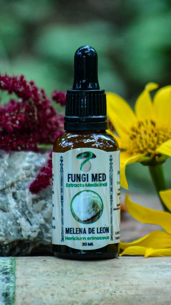 Melena de León (Hericium erinaceus) 30ml.