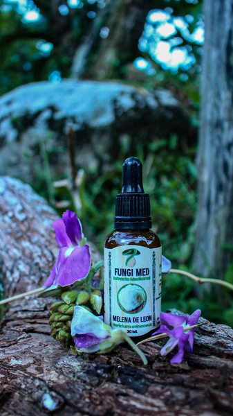 Melena de León (Hericium erinaceus) 30ml.