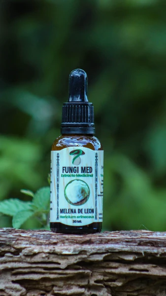 Melena de León (Hericium erinaceus) 30ml.