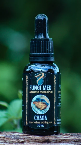 Chaga (Inonotus obliquus). 30ml.