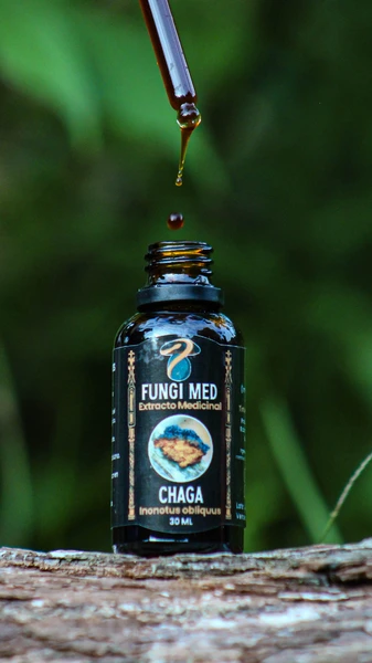 Chaga (Inonotus obliquus). 30ml.