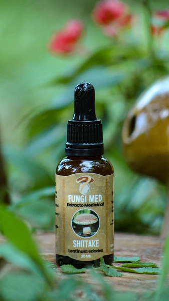 Shiitake (Lentinula edodes). 30ml.