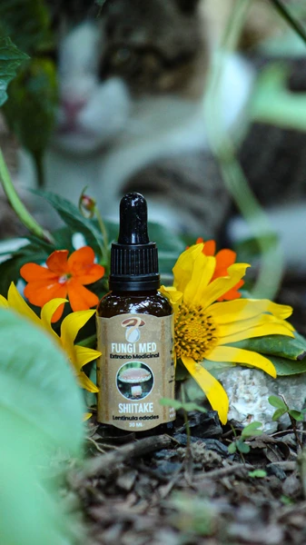 Shiitake (Lentinula edodes). 30ml.