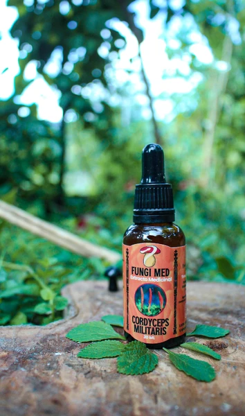 Cordyceps militaris. 30ml.